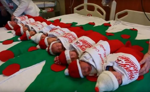 Малыши родились в "рождественских носках" (5 фото)
