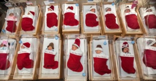 Малыши родились в "рождественских носках" (5 фото)