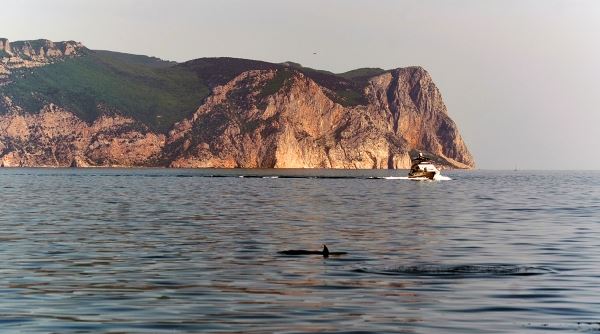 Всплыла затонувшая со списанным плавдоком подлодка в Севастополе