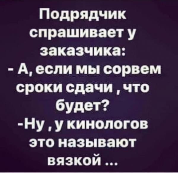 <br />
							Улыбнись (29 фото)
<p>					