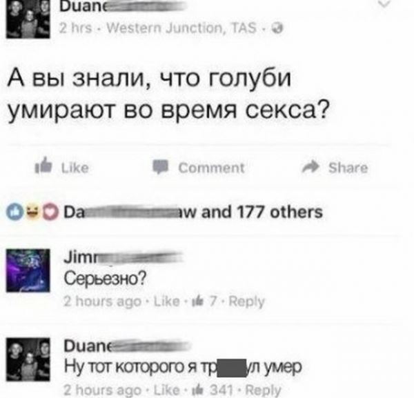 <br />
							Немного черного юмора (19 фото)
<p>					