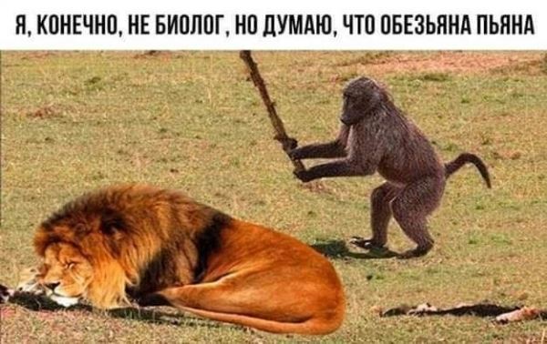 <br />
							Улыбнись (29 фото)
<p>					