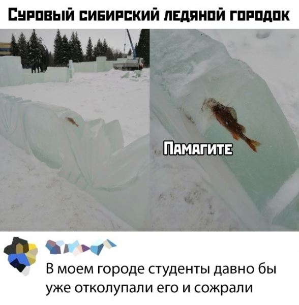 <br />
							Подборка прикольных фото (67 фото) 10.12.2019
<p>					